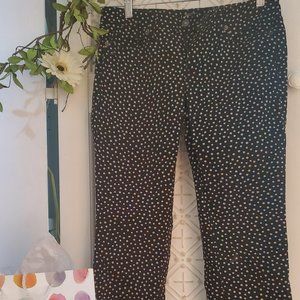 Loft, modern fit , polka dotted pants, size 6 petite